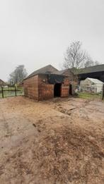 Schuilstal, paardenstal, schuilhok., 2 of 3 paarden of pony's