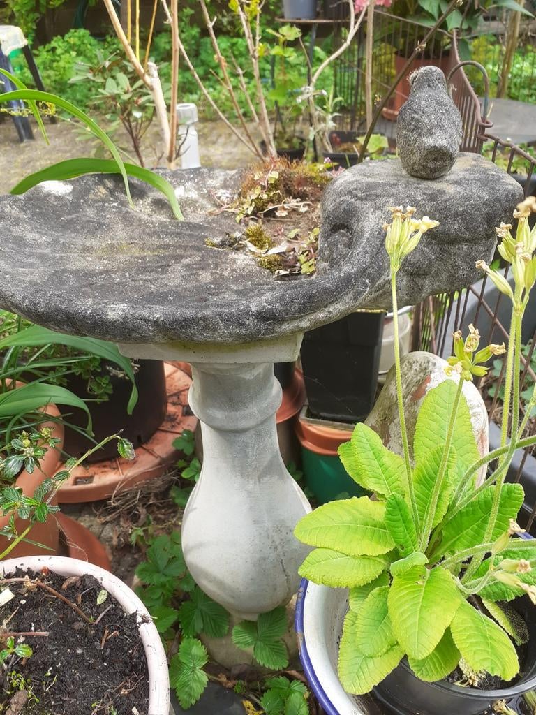 Mooi fonteintje / vogeldrinkbakje, Ophalen