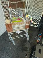 Vogel kooi, Meerdere dieren, Papegaai