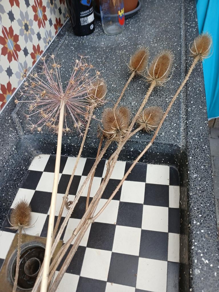 Droogbloemen, Ophalen