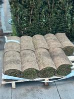 Graszoden 9 Rollen aangeboden, Ophalen, Nieuw, 10 tot 20 m²