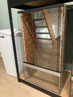2x terrarium 40x40x70, Dieren en Toebehoren, Reptielen en Amfibieën | Toebehoren, Ophalen, Zo goed als nieuw, Terrarium of Paludarium
