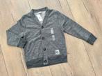 Jongens vest grijs NIEUW met kaartje 5 jaar maat 110 116 GAP, Trui of Vest, Ophalen of Verzenden, Zo goed als nieuw, GAP