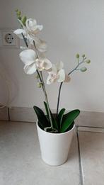 kunstplant kunstbloem phalaenopsis pot beton orchidee, Ophalen of Verzenden, Nieuw