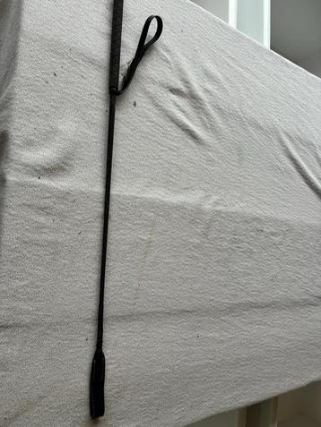 Paardrijdt zweep beschikbaar voor biedingen