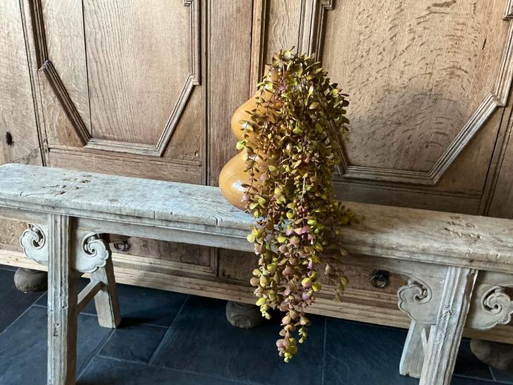 NIEUW metalen vaas met eucalyptus kunsttak MUSTARD, Huis en Inrichting, Woonaccessoires | Vazen, Nieuw, Ophalen of Verzenden