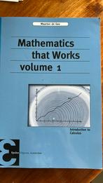 Maarten de Gee - Mathematics that works, Ophalen of Verzenden, Zo goed als nieuw, Natuurwetenschap, Maarten de Gee