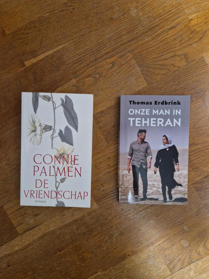 Boekenpakket: Connie Palmen & Thomas Erdbrink, Boeken, Romans, Gelezen, Nederland, Ophalen of Verzenden