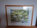 Aquarel Waterlelie s, Ophalen