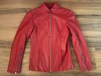 Prachtig rood leren Society Team jasje - Made in Italy, Society Team, Ophalen of Verzenden, Zo goed als nieuw, Jasje