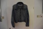 leuk zgan jeans jasje maat XL Colours of the world, Kleding | Dames, Colours of the world, Blauw, Maat 46/48 (XL) of groter, Ophalen of Verzenden