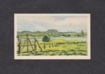 Albumplaatje Uddel Uddelermeer Veluwe (44). beschikbaar voor biedingen