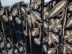 Antiek kleding sierband. Byzonder!., Antiek en Kunst, Antiek | Kleding en Accessoires, Ophalen of Verzenden