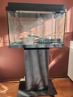 Aquarium met verlichting op meubel met wielen, Dieren en Toebehoren, Ophalen, Leeg aquarium