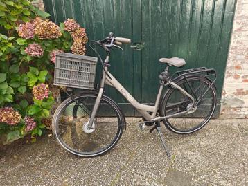 Cortina Common Family (moederfiets) beschikbaar voor biedingen