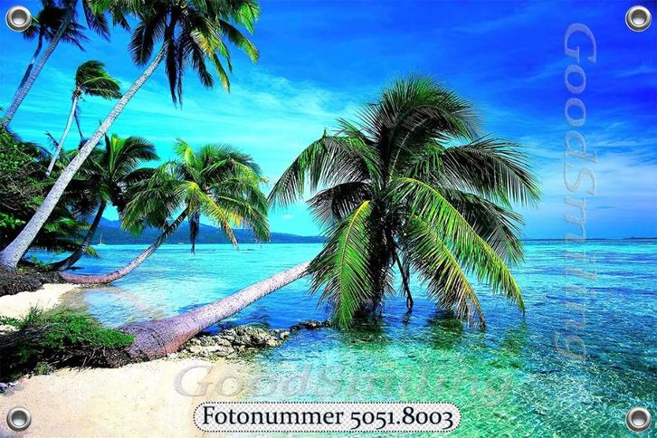 Tuinposter-Tropisch Strand met Palmbomen 150x100 cm (bxh), Tuin en Terras, Tuinwanddecoratie, Nieuw, Verzenden