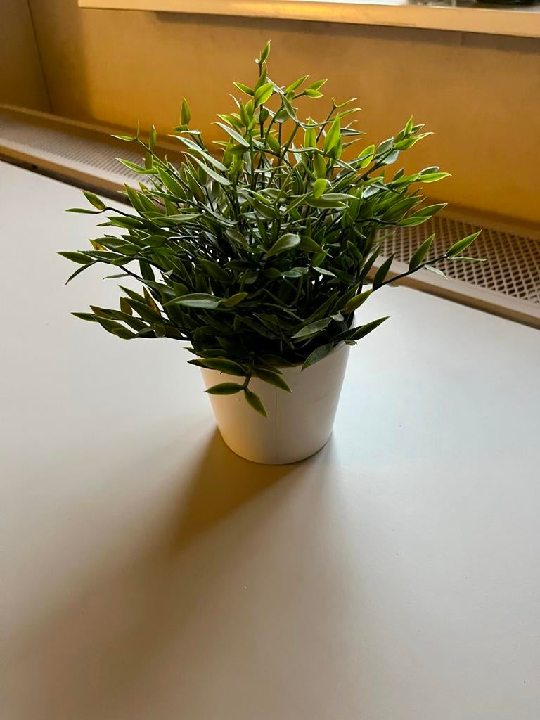 Kunstplant, binnen/buiten Bamboegras, Huis en Inrichting, Kamerplanten, Overige soorten, In pot, Minder dan 100 cm, Groene kamerplant