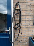 Hoofdstel grote pony klein paard., Dieren en Toebehoren, Ophalen of Verzenden, Gebruikt