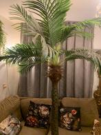Mooie palmboom kunstplant groot 227 cm boom, Ophalen, Zo goed als nieuw