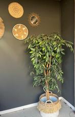 Kunst plant 160cm hoog, Huis en Inrichting, Ophalen, Gebruikt, Binnen
