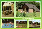 Nieuw Heeten  Sallandshoeve, Ophalen of Verzenden, Gelopen, Overijssel