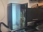 Aquarium 50L schildpadden 3 stuks, Ophalen, Overige diersoorten