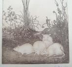 4 muisjes in het bos, ets van Jan Mankes, Ophalen