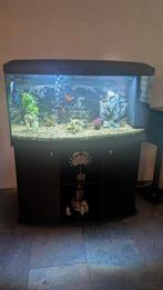 Aquarium 110cm scenic, Dieren en Toebehoren, Ophalen, Leeg aquarium