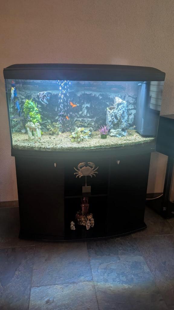 Aquarium 110cm scenic, Dieren en Toebehoren, Vissen | Aquaria en Toebehoren, Leeg aquarium, Ophalen