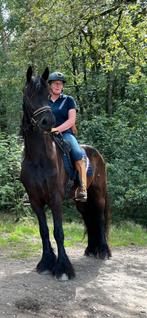 Gediplomeerd ORUN Instructrice voor privé les, Diensten en Vakmensen, Dieren | Paarden | Verzorging, Oppas en Les, Paardrijles of Ponykampen