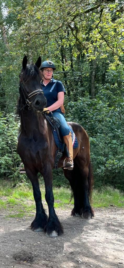 Gediplomeerd ORUN Instructrice voor privé les, Diensten en Vakmensen, Dieren | Paarden | Verzorging, Oppas en Les, Paardrijles of Ponykampen