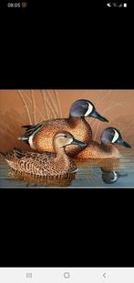 Blauwvleugel taling eenden, Dieren en Toebehoren, Pluimvee, Meerdere dieren, Eend