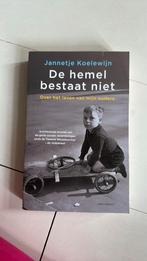 Jannetje Koelewijn - De hemel bestaat niet, Boeken, Ophalen of Verzenden, Zo goed als nieuw, Jannetje Koelewijn