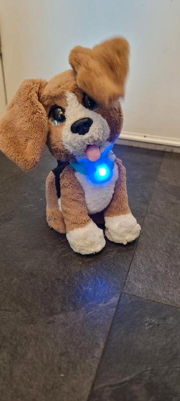 Furreal friends hondje beschikbaar voor biedingen