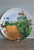 Wedgwood Verzamelbord 'The Village in the Valley', Antiek en Kunst, Ophalen of Verzenden