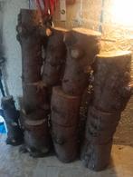 Dennehouten stronken, Ophalen, Gebruikt, N.v.t., N.v.t.