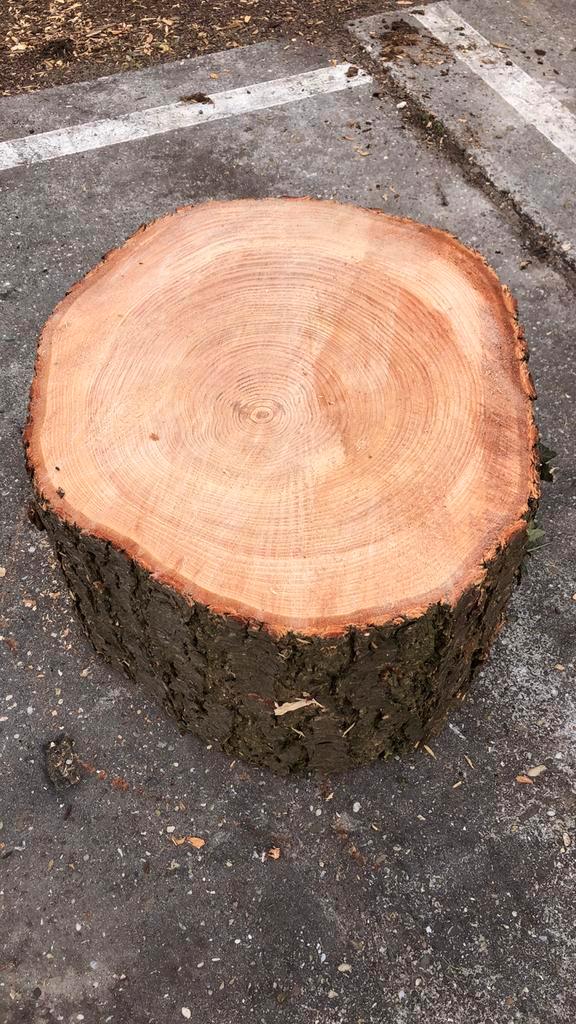 Boomstamschijf | blok | salontafel | stam, Huis en Inrichting, Tafels | Salontafels, Minder dan 50 cm, 50 tot 100 cm, Rond, Ophalen