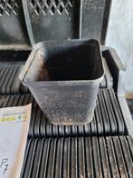 P8 kleine kweekpotten, Tuin en Terras, Kweekspullen, Ophalen, Gebruikt, Overige typen