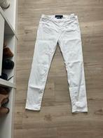 Witte nette dames  jacob cohen maat 29, Ophalen of Verzenden, Zo goed als nieuw, Maat 38/40 (M), Wit