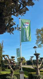 Olijfbomen weer nieuwe partij binnen extra dik 250cm, 100 tot 250 cm, Olijfboom, Zomer, Ophalen