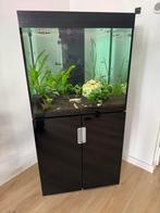 Aquarium met toebehoren, Ophalen, Gebruikt, Gevuld zoetwateraquarium