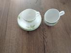 Villeroy en Boch Green Garland, Nieuw, Ophalen of Verzenden, Overige stijlen, Kop(pen) en/of Schotel(s)