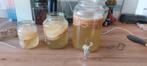 Kombucha SCOBY+ vloeistof, Ophalen