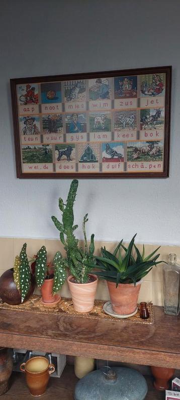 	 Geborduurd aap noot mies in houten lijst beschikbaar voor biedingen