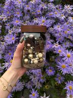 Mystery jewellery jar, Sieraden, Tassen en Uiterlijk, Antieke sieraden, Ophalen of Verzenden, Overige materialen, Ring, Verguld