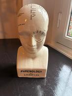 Fowler Phrenologie Hoofd / Buste, Antiek en Kunst, Ophalen of Verzenden