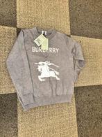 Burberry Trui - Nieuw, Ophalen of Verzenden, Zo goed als nieuw, Jongen of Meisje
