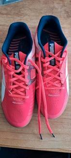Mooie nieuwe Puma Evospeed sneakers/ schoenen maat 41/ 40, Ophalen of Verzenden, Nieuw, Roze, Sneakers of Gympen