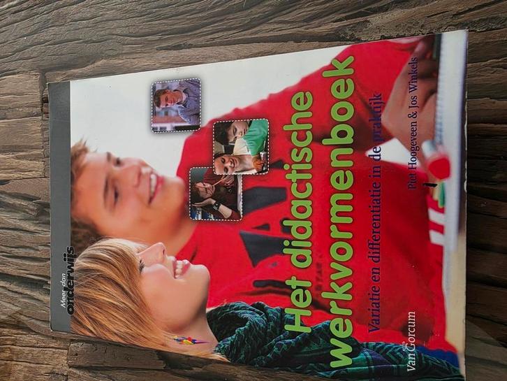 Piet Hoogeveen - Het didactisch werkvormenboek, Boeken, Studieboeken en Cursussen, Zo goed als nieuw, HBO, Alpha, Ophalen