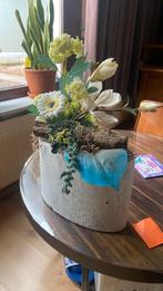 Mooie kunstplant, Huis en Inrichting, Woonaccessoires | Kunstplanten en Kunstbloemen, Ophalen, Zo goed als nieuw
